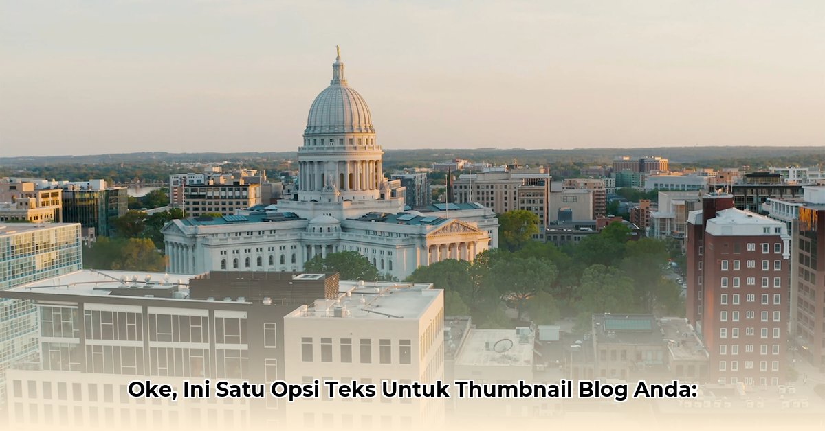 madison-lintz-net-worth